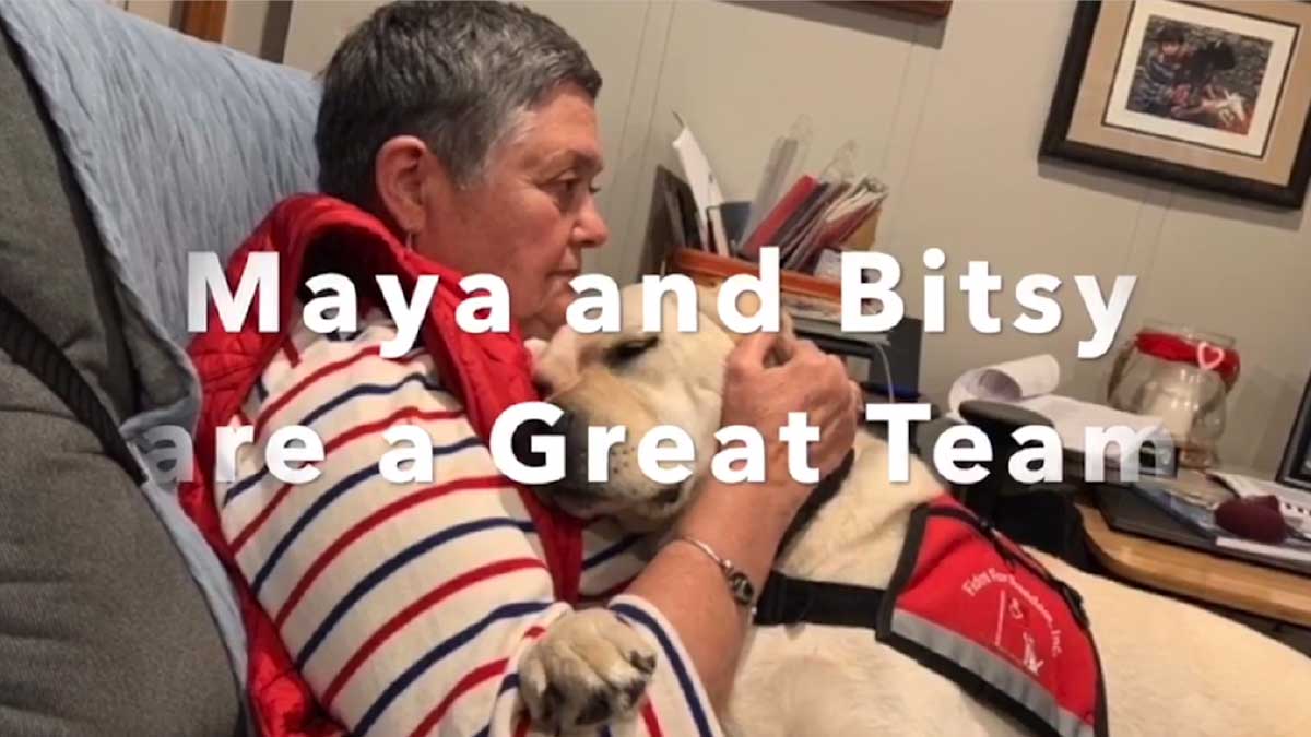 Meet Maya : A Fidos for Freedom Service Dog